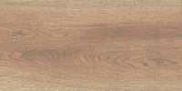 Wood натурал 300 х 600 (2)