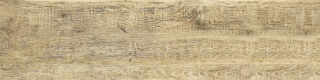 Oak GP pale 4+600+151